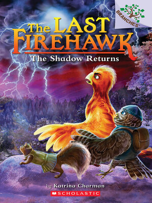 cover image of The Shadow Returns